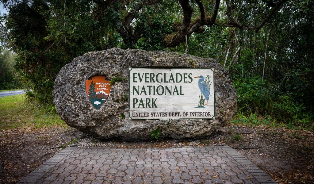 sightseeing in the Everglades Park