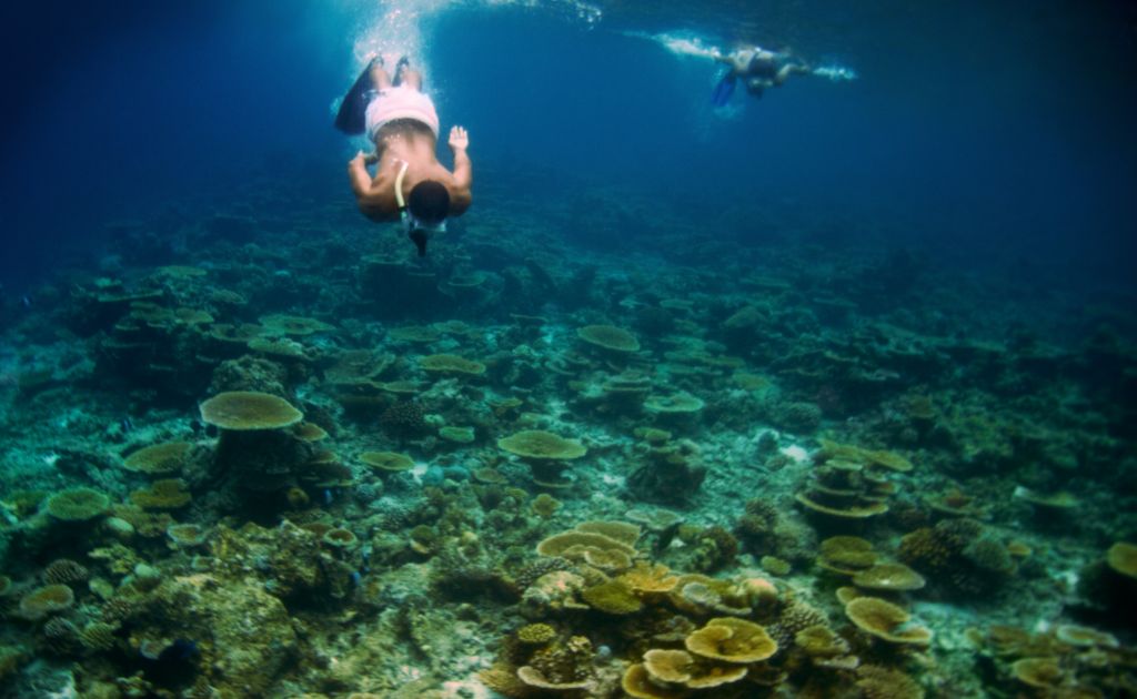 Aquatic Adventures in florida keys