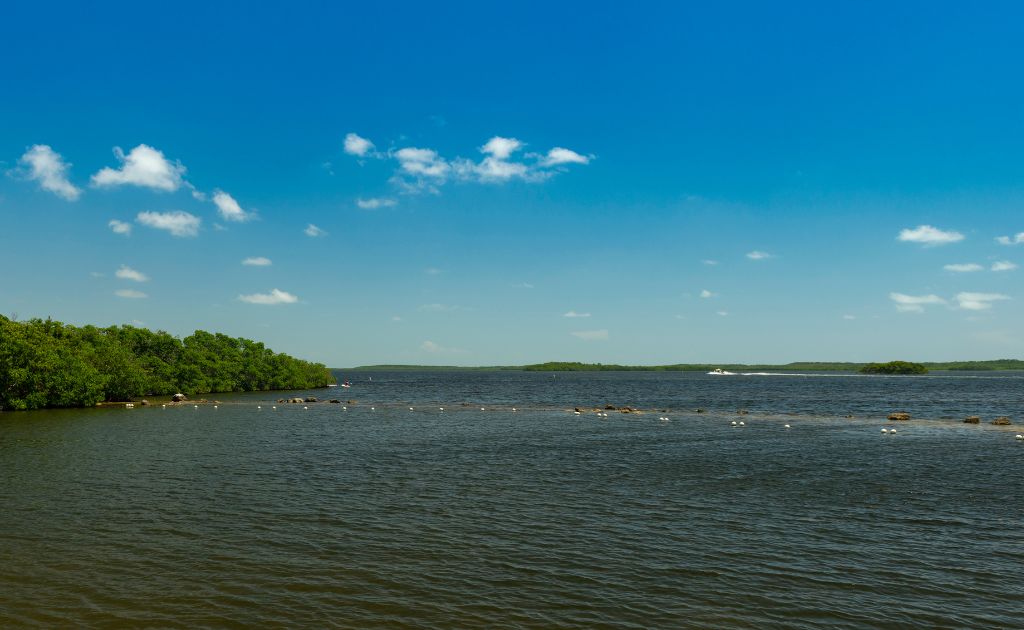 John Pennekamp Coral Reef State Park: Snorkeling and Diving Paradise